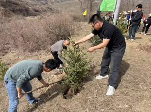 州农投公司参加2025年春季义务植树活动