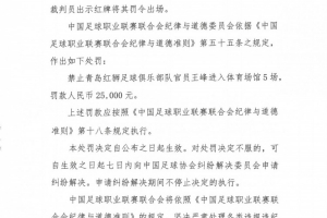 官方：青岛红狮领队对裁判员使用侮辱性语言，禁赛5场罚款2.5万