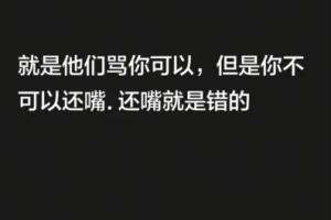 韦世豪：就是他们骂你可以，但是你不可以还嘴，还嘴就是错的
