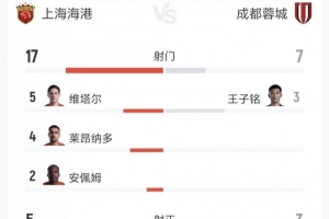 海港vs蓉城全场数据：射门17-7、射正5-3、得分机会5-2、黄牌5-1